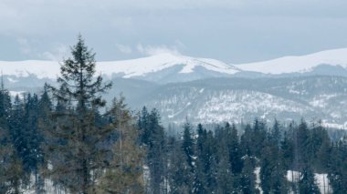 Kar altında kar kayağı yapan biri.
