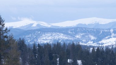 Kar altında kar kayağı yapan biri.