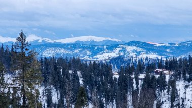 Birkaç ağaçla kaplı bir dağ.