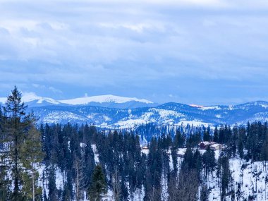 Karlı bir tepede kar kayağı yapan biri.