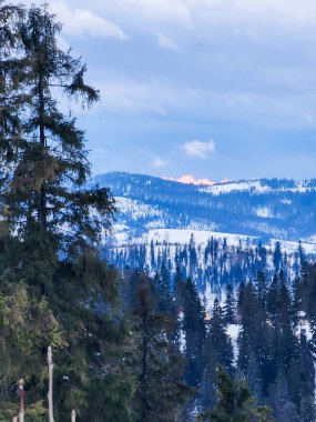 Karlı bir yamaçta kayak yapan biri.