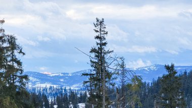 Karda ata binen biri