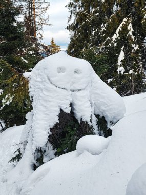 Ormanın ortasında karla kaplı bir ağaç kütüğü.
