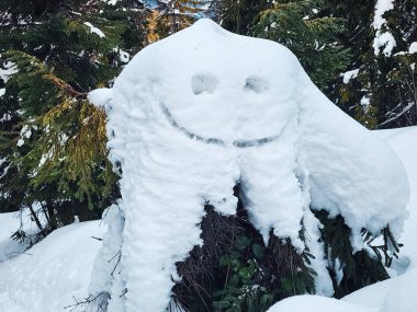 Gülümseyen bir yüzün karla kaplı heykeli