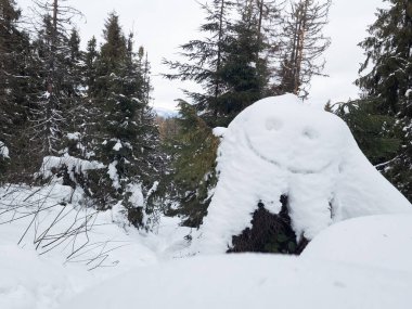 Ormanın ortasında karla kaplı bir ağaç kütüğü.