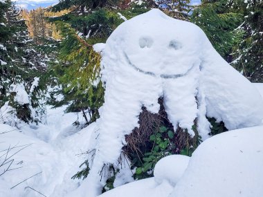 Karla kaplı bir ağaç gövdesine oyulmuş bir yüz.