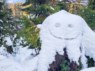 Üstünde yüz olan bir ağaç kütüğü.