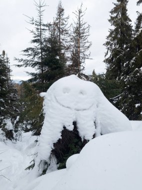 Ormanın ortasında karla kaplı bir kaya.