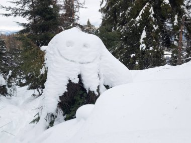 Ormanın ortasında karla kaplı bir ağaç kütüğü.