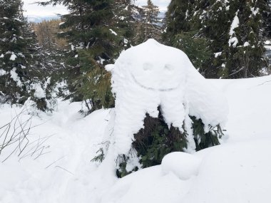 Ormanın ortasında karla kaplı bir ağaç kütüğü.