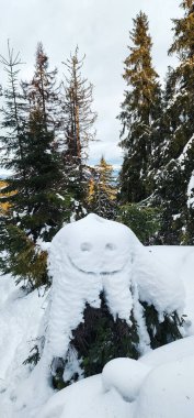 Ormanın ortasında karla kaplı bir ağaç kütüğü.