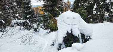 Ormanın ortasında karla kaplı bir ağaç kütüğü.