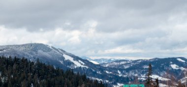 Bir snowboardcu karlı bir tepeden aşağı iniyor.