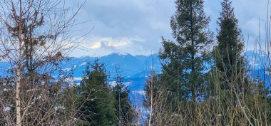 Ağaçlarla ve banklarla kaplı bir dağ sırası.