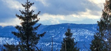 Kar altında kar kayağı yapan biri.