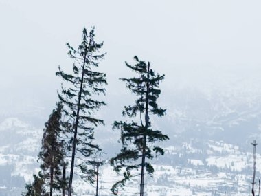 Kar altında kar kayağı yapan biri.