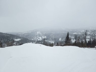 Karlı bir tepede kar kayağı yapan biri.