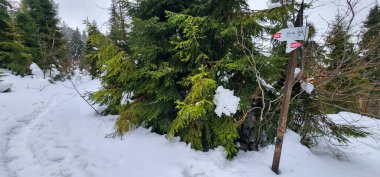 Üzerinde işaret olan karla kaplı bir yol.