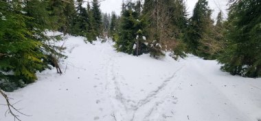 Karlı bir yolda kayak yapan biri.