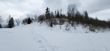 Karla kaplı bir tepe Karda bir patika