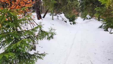 Kayak yapan bir insan karlı bir yolda ilerliyor.