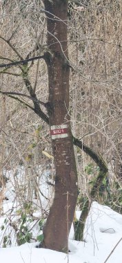 Karda üzerinde bir işaret olan bir ağaç.