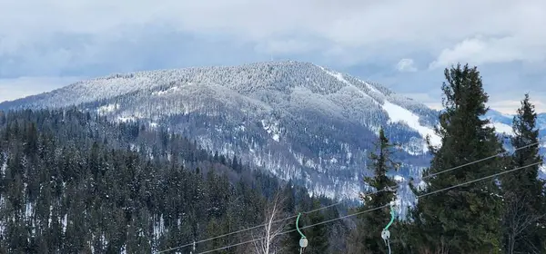 Tepeden kayak yapan ve arka planda dağ olan biri.