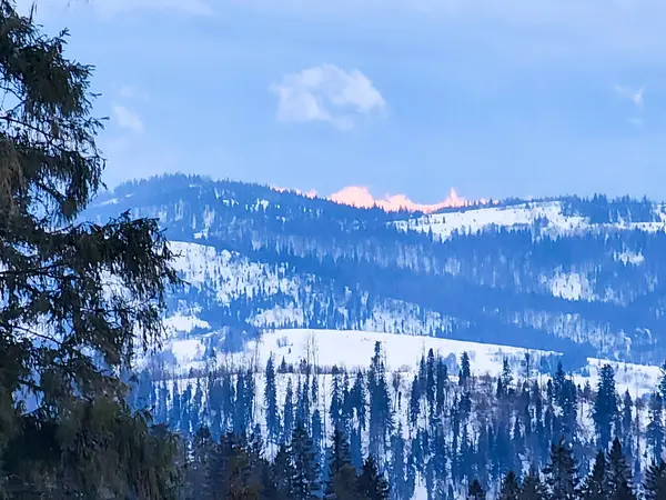 Birkaç ağaç ve biraz kar olan bir dağ.