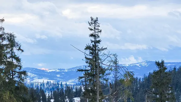 Karda ata binen biri