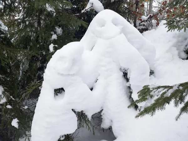 Tepesinde kardan adam olan bir ağaç.