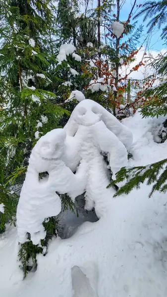 Ormanda kar kaplı bir ağaç, mavi gökyüzü...