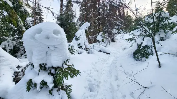 Kardan bir adamla ormanda karla kaplı bir patika.