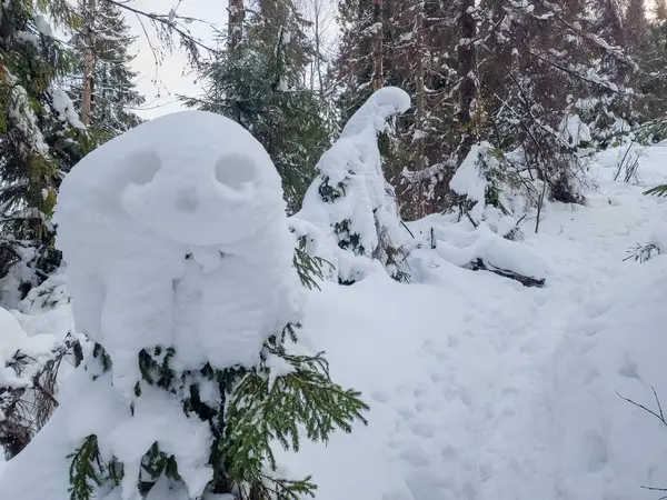 Arka planda ağaçlar olan ormanda bir kardan adam.