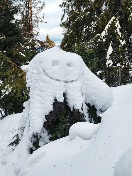 Ormanın ortasında karla kaplı bir ağaç kütüğü.