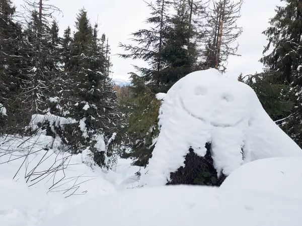 Ormanın ortasında karla kaplı bir ağaç kütüğü.