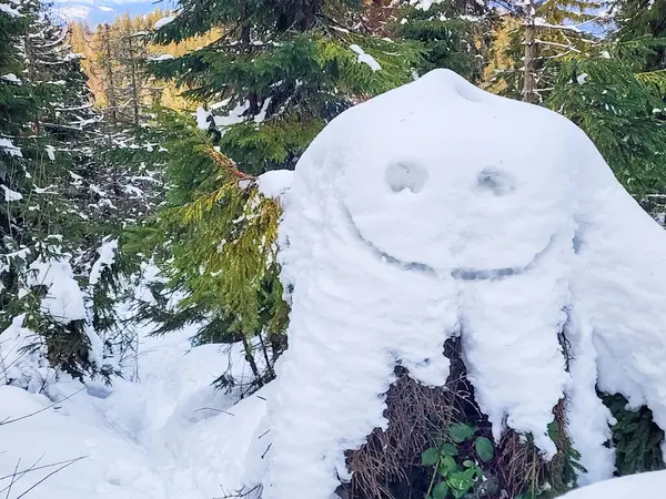 Üstünde yüz olan bir ağaç kütüğü.