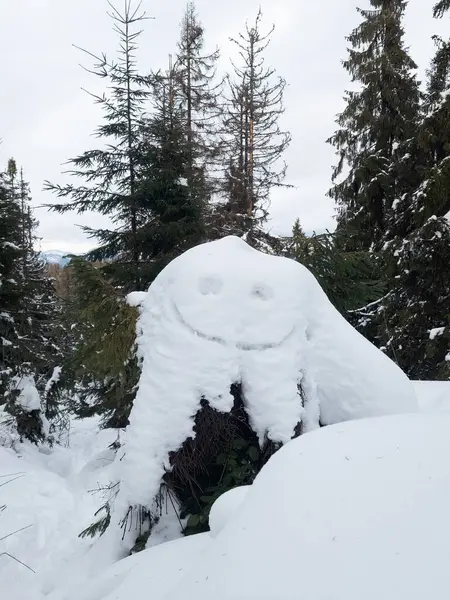 Ormanın ortasında karla kaplı bir kaya.