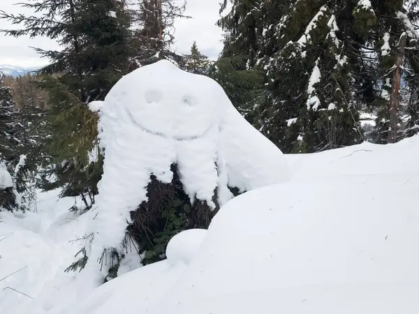 Ormanın ortasında karla kaplı bir ağaç kütüğü.