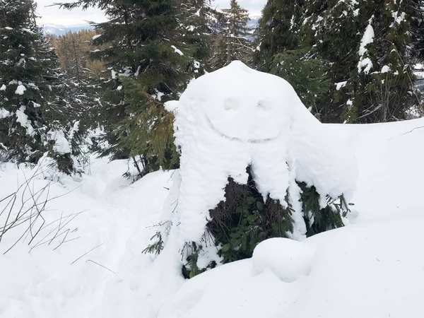 Ormanın ortasında karla kaplı bir ağaç kütüğü.