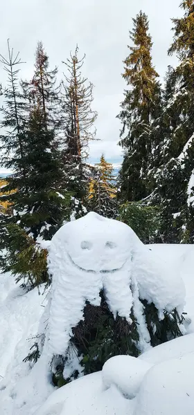 Ormanın ortasında karla kaplı bir ağaç kütüğü.