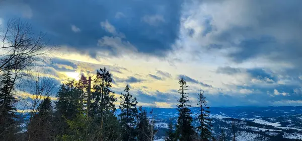 Karlı bir tepede kar kayağı yapan biri.