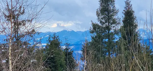 Ağaçlarla ve banklarla kaplı bir dağ sırası.