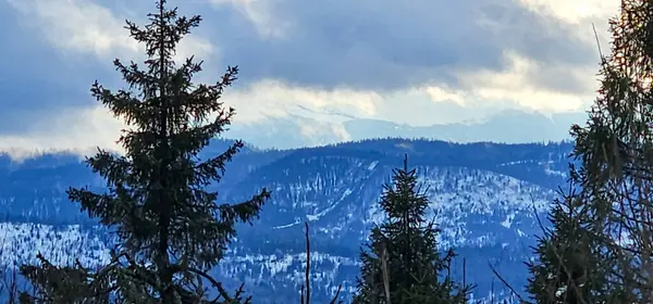 Kar altında kar kayağı yapan biri.