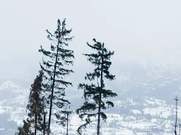 Kar altında kar kayağı yapan biri.