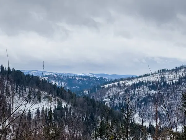Karlı bir yamaçta kayak yapan biri.