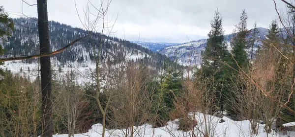 Dağların yakınındaki kar üzerinde bir insan.