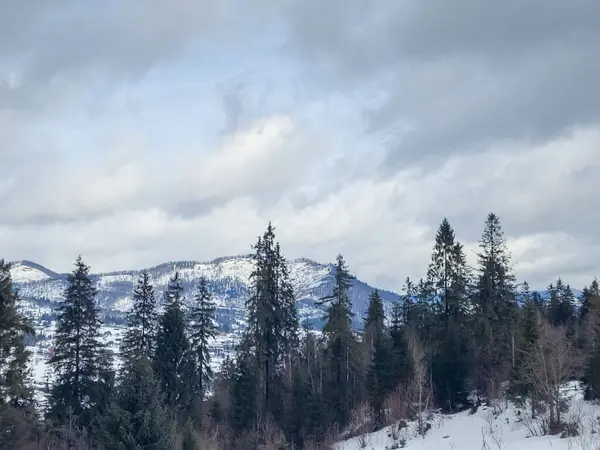 Karlı bir yamaçta kayak yapan biri.