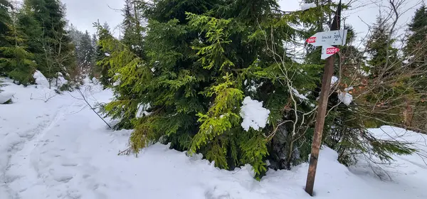 Üzerinde işaret olan karla kaplı bir yol.