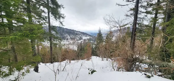 Karda kayak yapan biri.