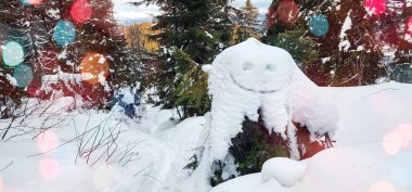 Ormanın ortasında kar kaplı bir yangın musluğu.